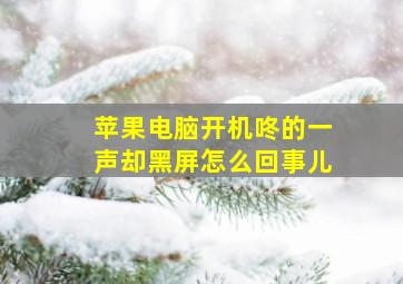 苹果电脑开机咚的一声却黑屏怎么回事儿