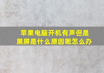 苹果电脑开机有声但是黑屏是什么原因呢怎么办