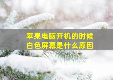 苹果电脑开机的时候白色屏幕是什么原因