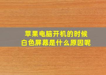 苹果电脑开机的时候白色屏幕是什么原因呢