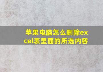 苹果电脑怎么删除excel表里面的所选内容