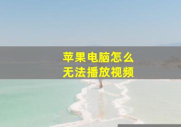 苹果电脑怎么无法播放视频