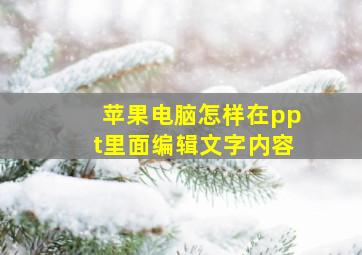 苹果电脑怎样在ppt里面编辑文字内容