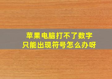 苹果电脑打不了数字只能出现符号怎么办呀