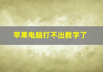 苹果电脑打不出数字了