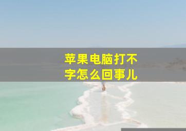 苹果电脑打不字怎么回事儿