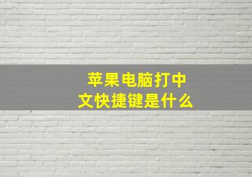 苹果电脑打中文快捷键是什么