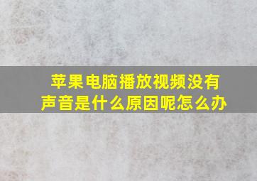 苹果电脑播放视频没有声音是什么原因呢怎么办