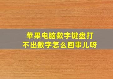 苹果电脑数字键盘打不出数字怎么回事儿呀