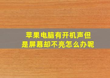 苹果电脑有开机声但是屏幕却不亮怎么办呢