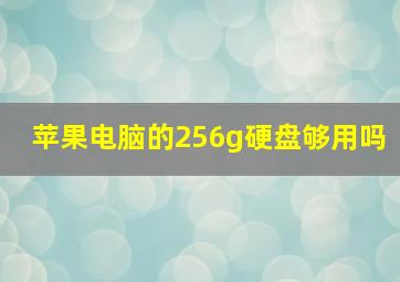 苹果电脑的256g硬盘够用吗