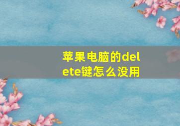 苹果电脑的delete键怎么没用