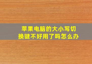 苹果电脑的大小写切换键不好用了吗怎么办