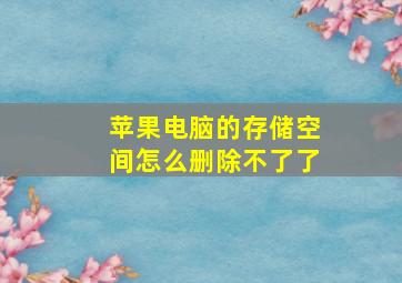 苹果电脑的存储空间怎么删除不了了