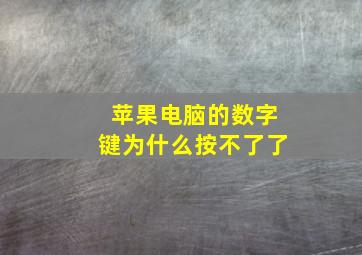 苹果电脑的数字键为什么按不了了