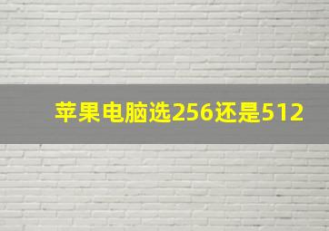 苹果电脑选256还是512