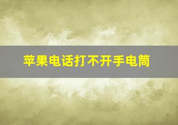 苹果电话打不开手电筒