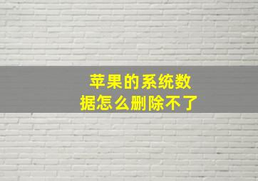 苹果的系统数据怎么删除不了