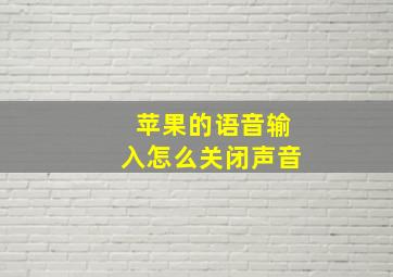 苹果的语音输入怎么关闭声音