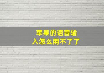 苹果的语音输入怎么用不了了