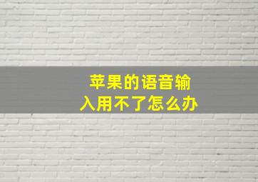 苹果的语音输入用不了怎么办