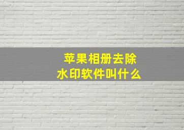 苹果相册去除水印软件叫什么