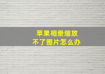 苹果相册缩放不了图片怎么办