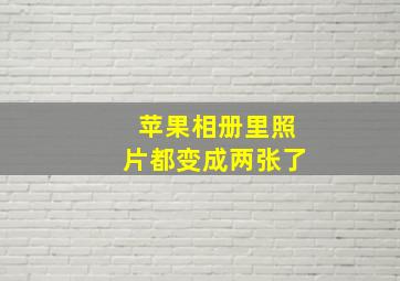 苹果相册里照片都变成两张了