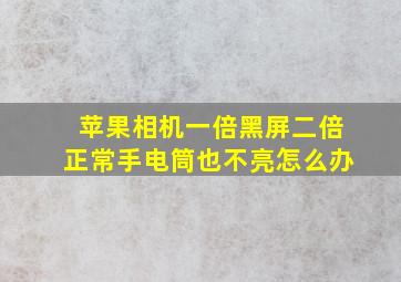 苹果相机一倍黑屏二倍正常手电筒也不亮怎么办