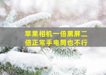 苹果相机一倍黑屏二倍正常手电筒也不行