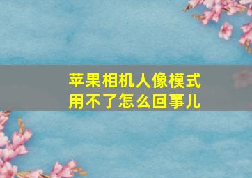 苹果相机人像模式用不了怎么回事儿