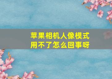 苹果相机人像模式用不了怎么回事呀