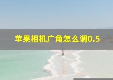 苹果相机广角怎么调0.5