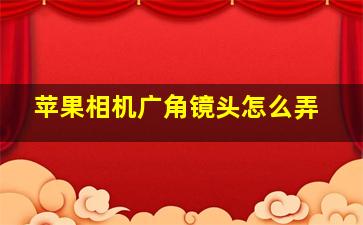 苹果相机广角镜头怎么弄