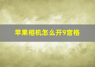 苹果相机怎么开9宫格