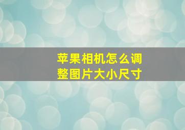 苹果相机怎么调整图片大小尺寸