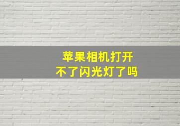 苹果相机打开不了闪光灯了吗