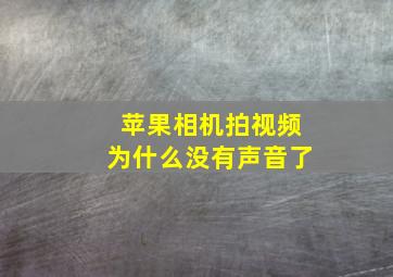 苹果相机拍视频为什么没有声音了