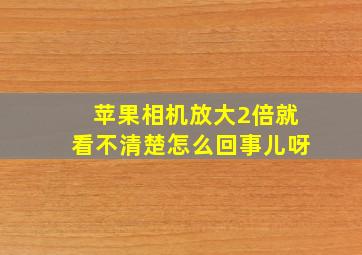 苹果相机放大2倍就看不清楚怎么回事儿呀