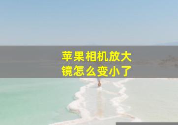 苹果相机放大镜怎么变小了