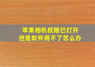 苹果相机权限已打开但是软件用不了怎么办