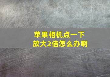 苹果相机点一下放大2倍怎么办啊