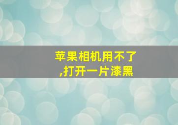 苹果相机用不了,打开一片漆黑