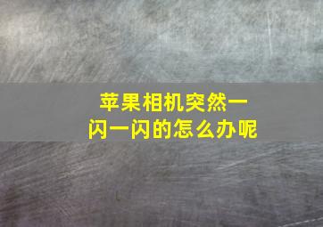 苹果相机突然一闪一闪的怎么办呢