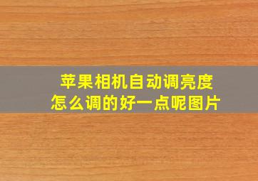 苹果相机自动调亮度怎么调的好一点呢图片