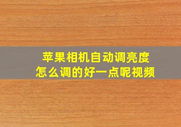 苹果相机自动调亮度怎么调的好一点呢视频