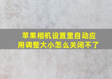 苹果相机设置里自动应用调整大小怎么关闭不了