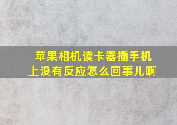 苹果相机读卡器插手机上没有反应怎么回事儿啊