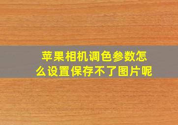 苹果相机调色参数怎么设置保存不了图片呢