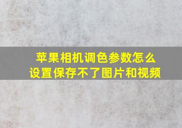 苹果相机调色参数怎么设置保存不了图片和视频